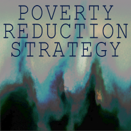 Text for the title reads Poverty Reduction Strategy. The background image looks like digitally edited flames or waves